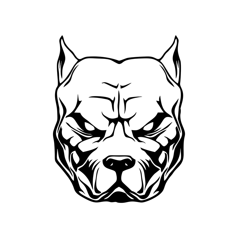 Motorrad Aufkleber Hund Muster – Motorcycle Gear Pattern Bewertung und Preis